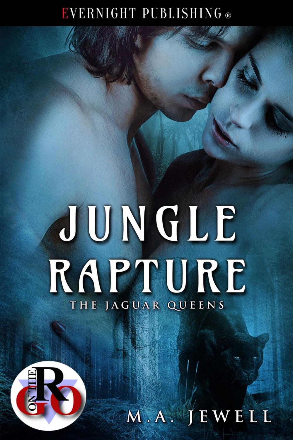 Big bigCover of Jungle Rapture