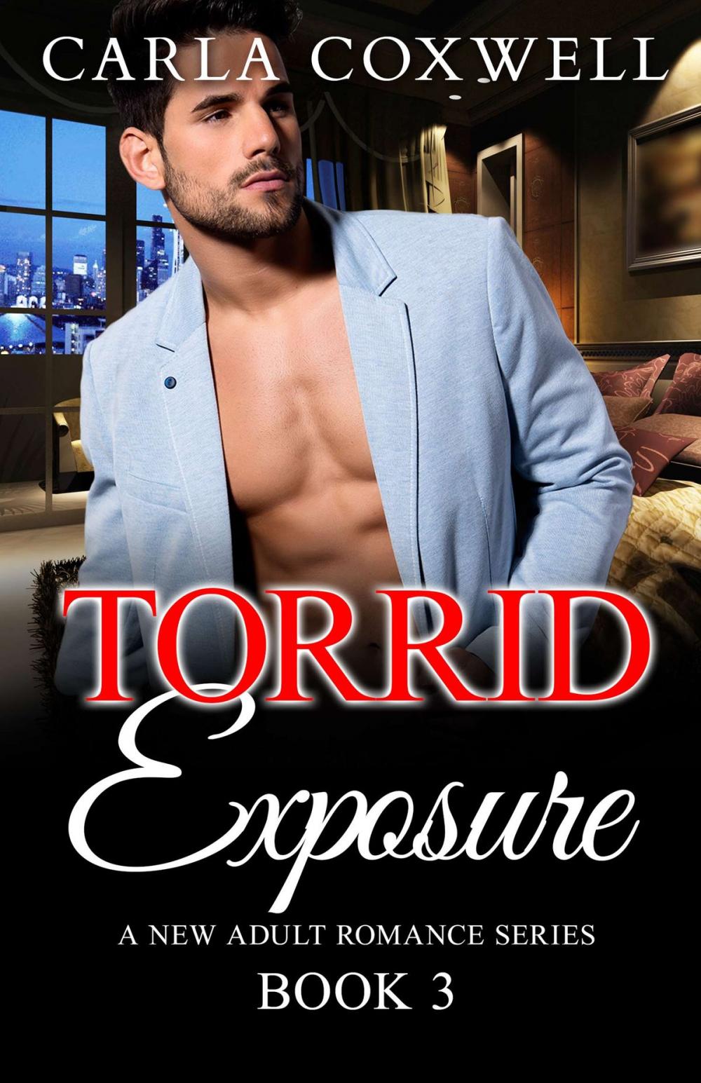 Big bigCover of Torrid Exposure - Book 3