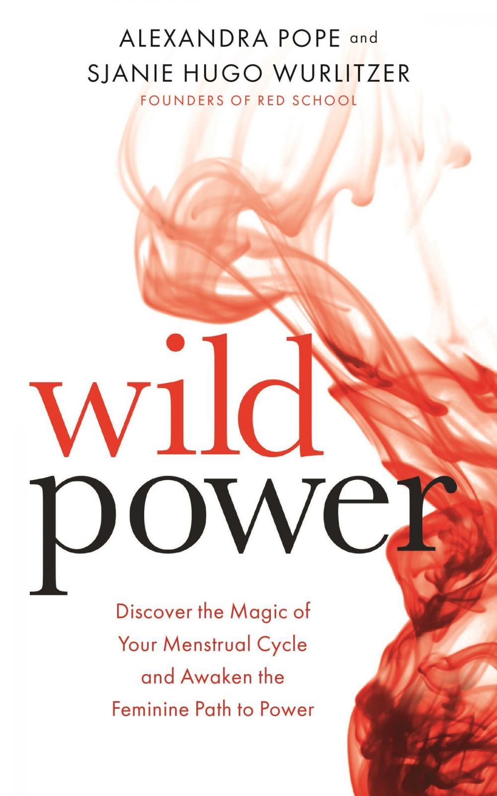 Big bigCover of Wild Power