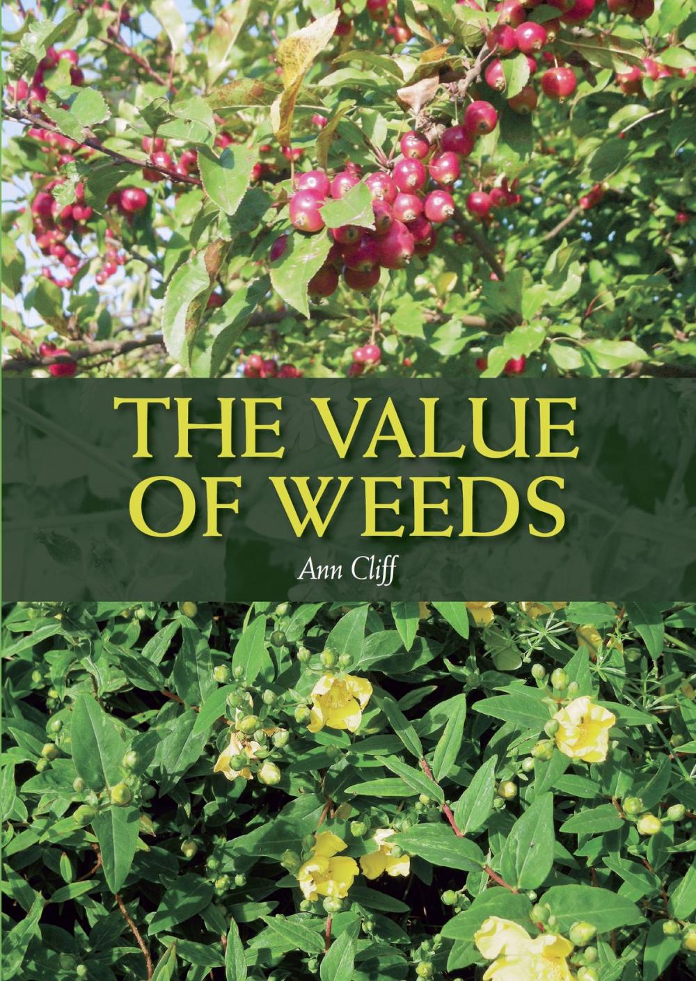 Big bigCover of The Value of Weeds