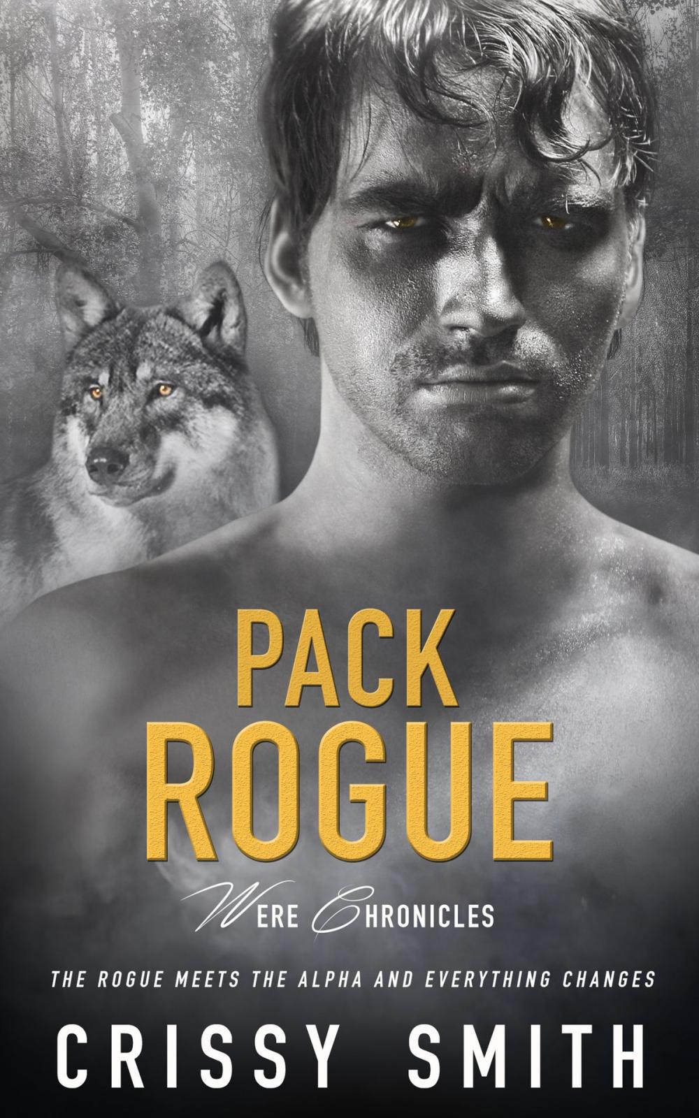 Big bigCover of Pack Rogue