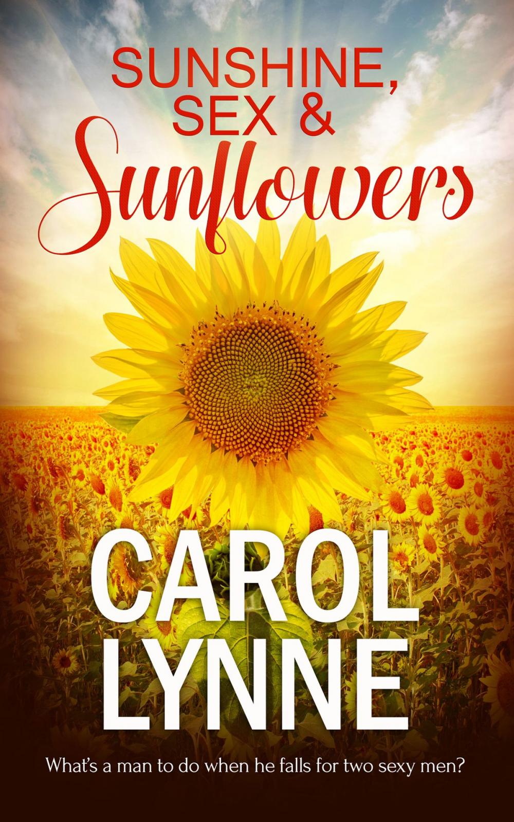 Big bigCover of Sunshine, Sex & Sunflowers