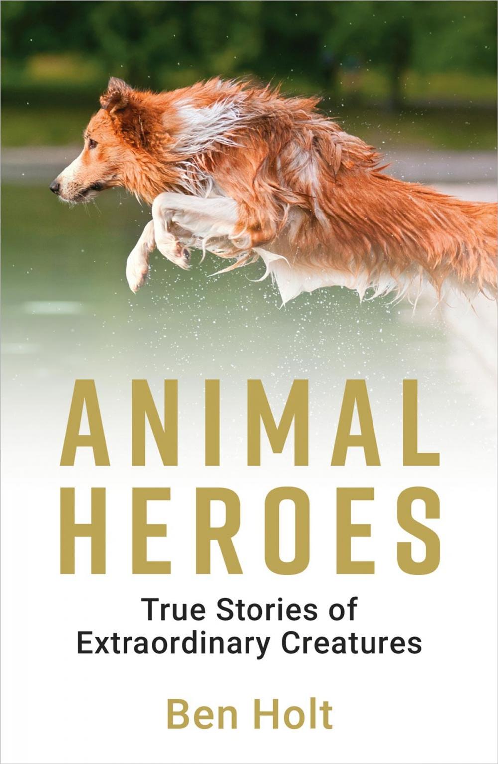 Big bigCover of Animal Heroes: True Stories of Extraordinary Creatures