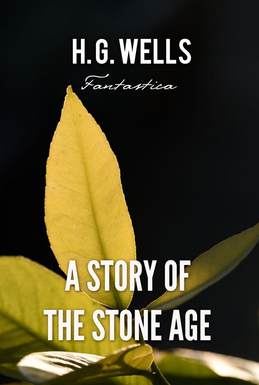 Big bigCover of A Story of the Stone Age