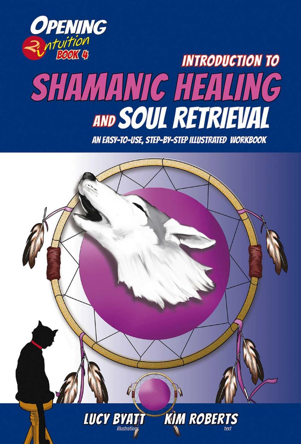 Big bigCover of Introduction to Shamanic Healing and Soul Retrieval