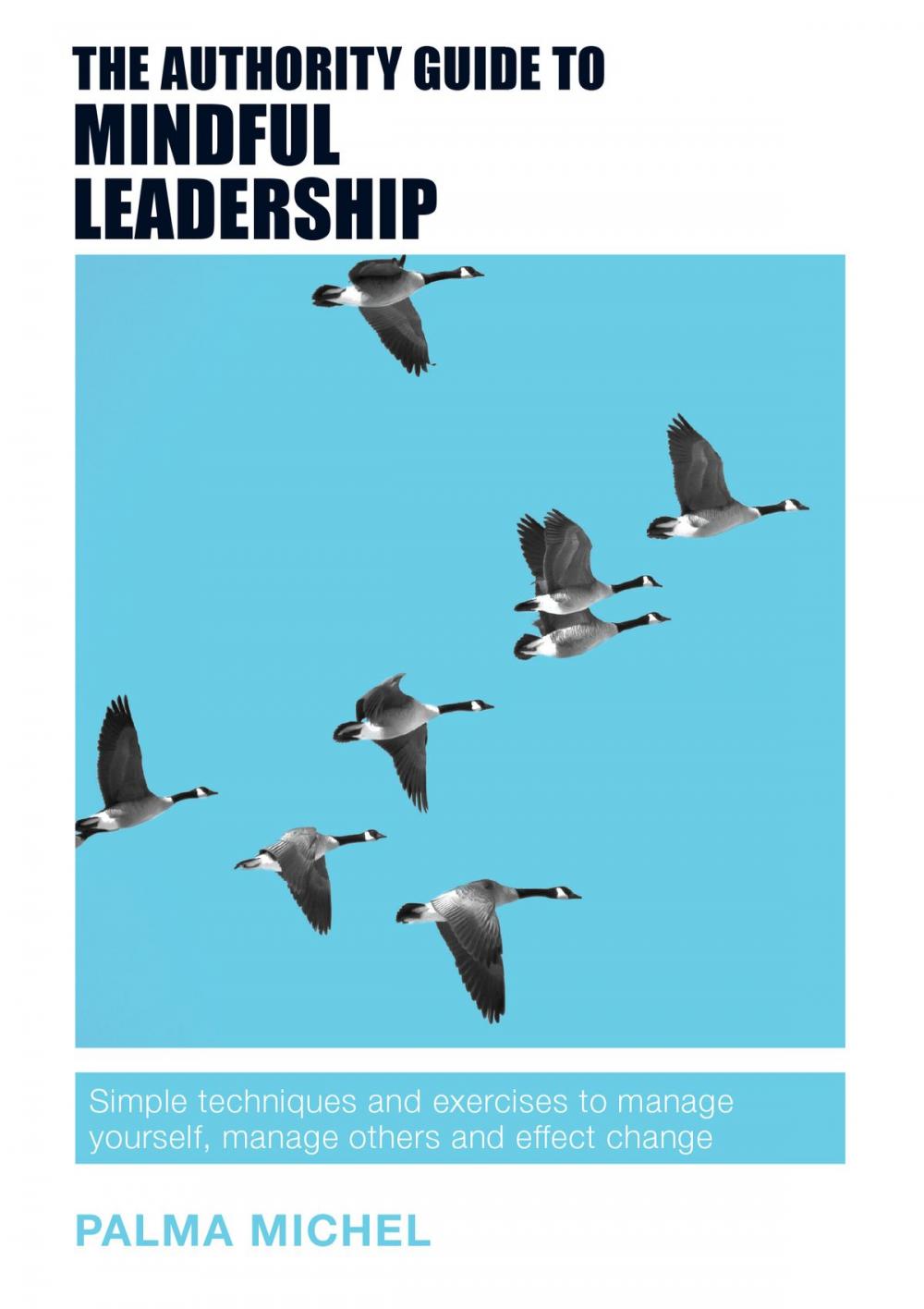 Big bigCover of The Authority Guide to Mindful Leadership