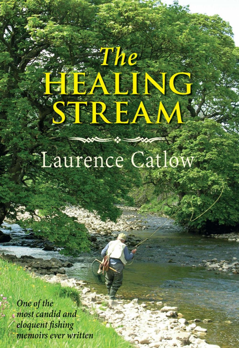 Big bigCover of The Healing Stream