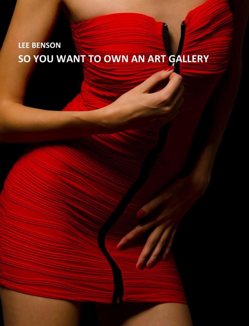 Big bigCover of So You Want To Own An Art Gallery