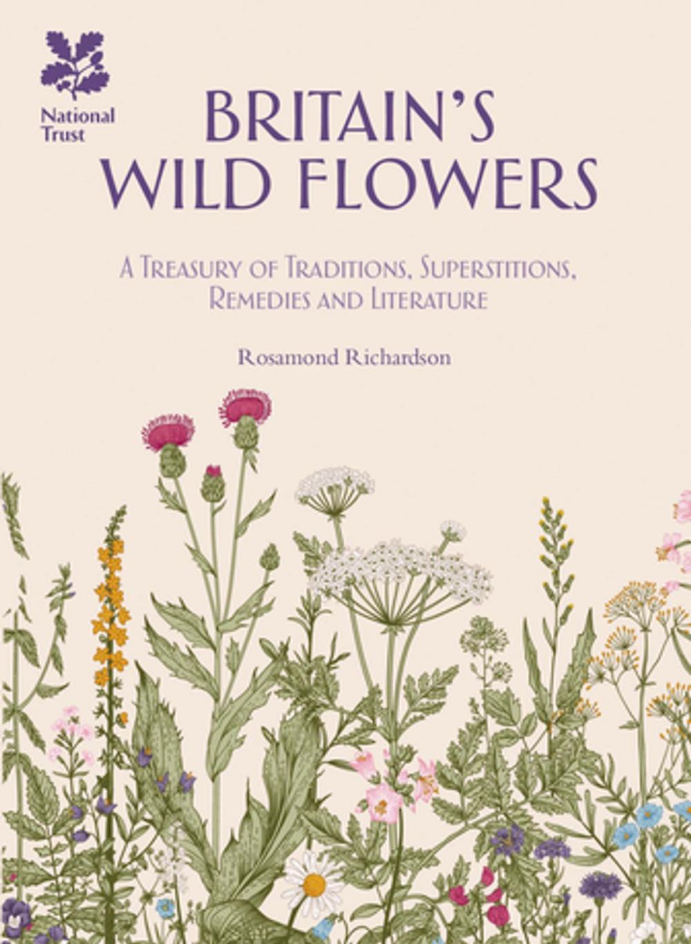 Big bigCover of Britain's Wild Flowers