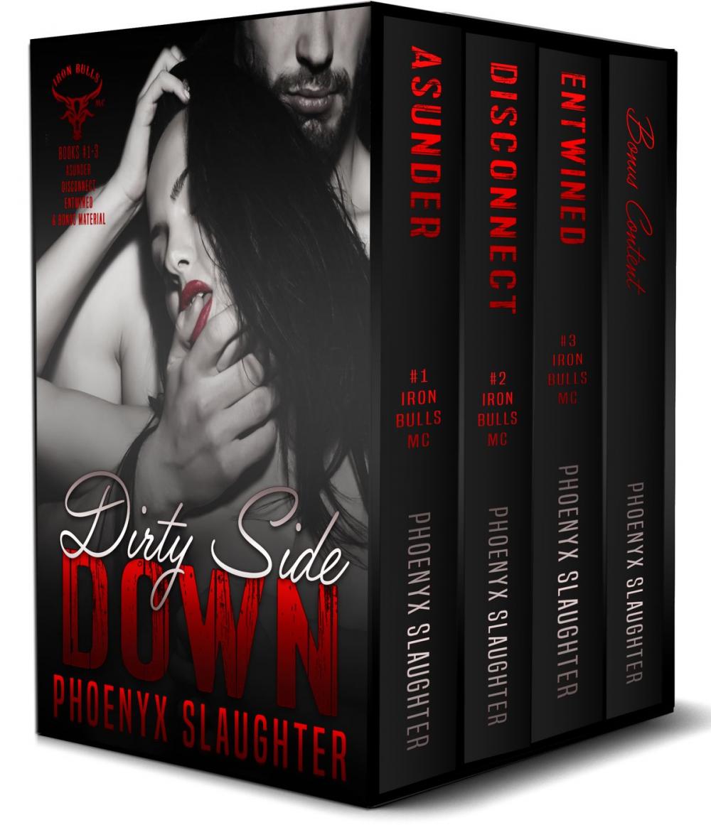 Big bigCover of Dirty Side Down (Iron Bulls MC Boxed Set)