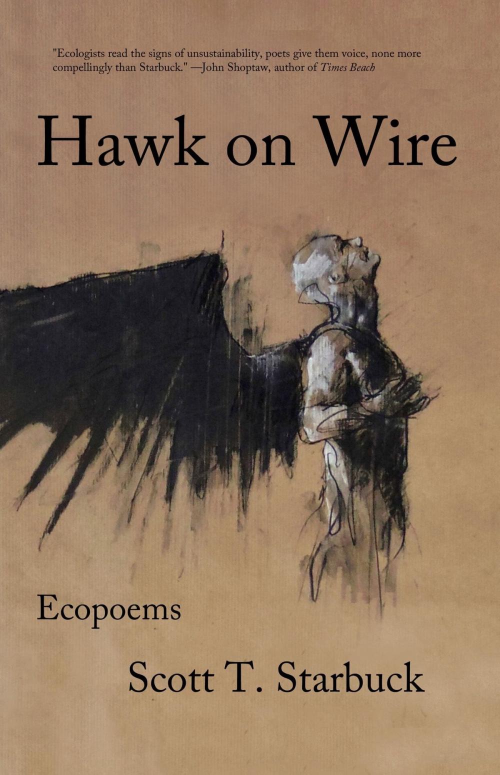 Big bigCover of Hawk on Wire