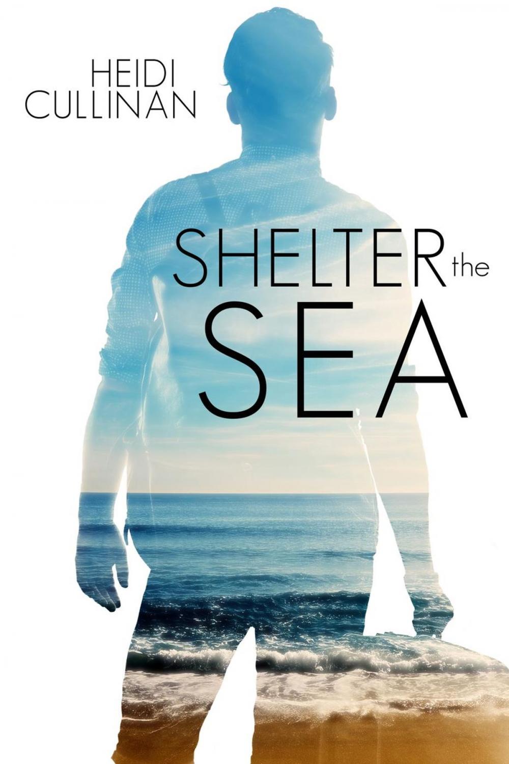 Big bigCover of Shelter the Sea