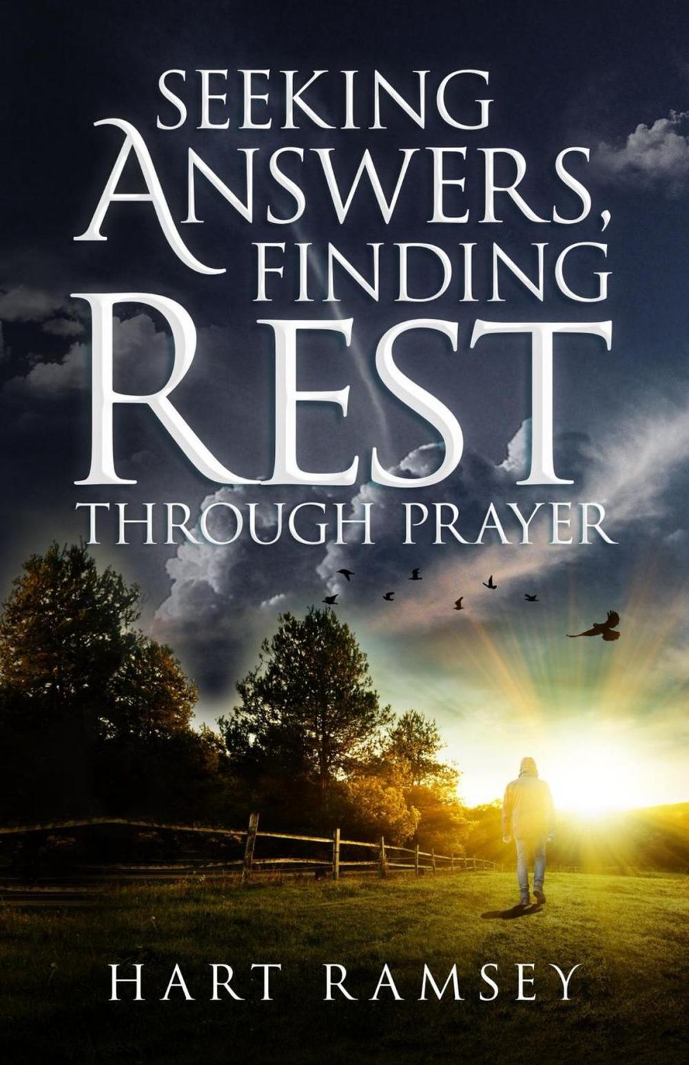 Big bigCover of Seeking Answers, Finding Rest