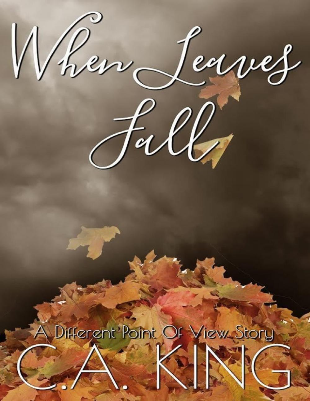 Big bigCover of When Leaves Fall: A Different Point of View Story