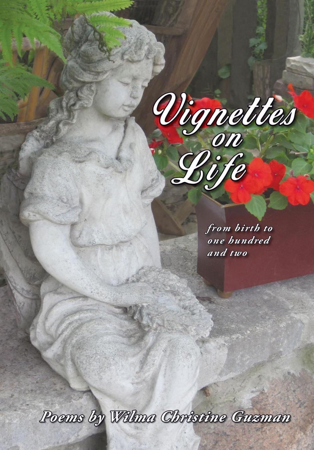 Big bigCover of Vignettes on Life