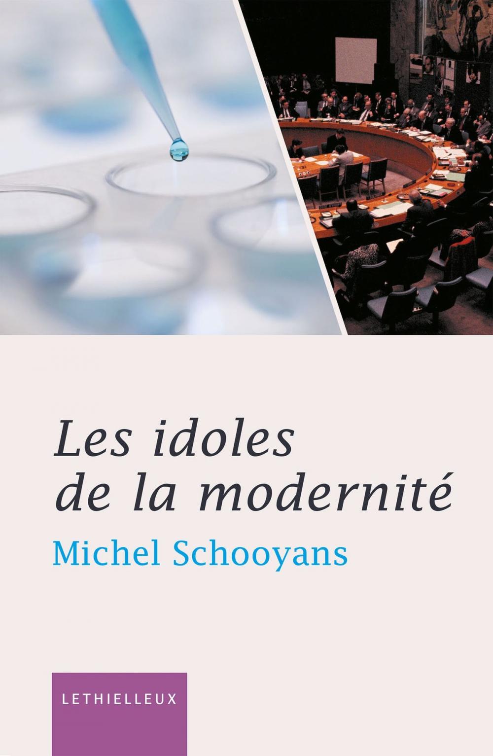 Big bigCover of Les idoles de la modernité