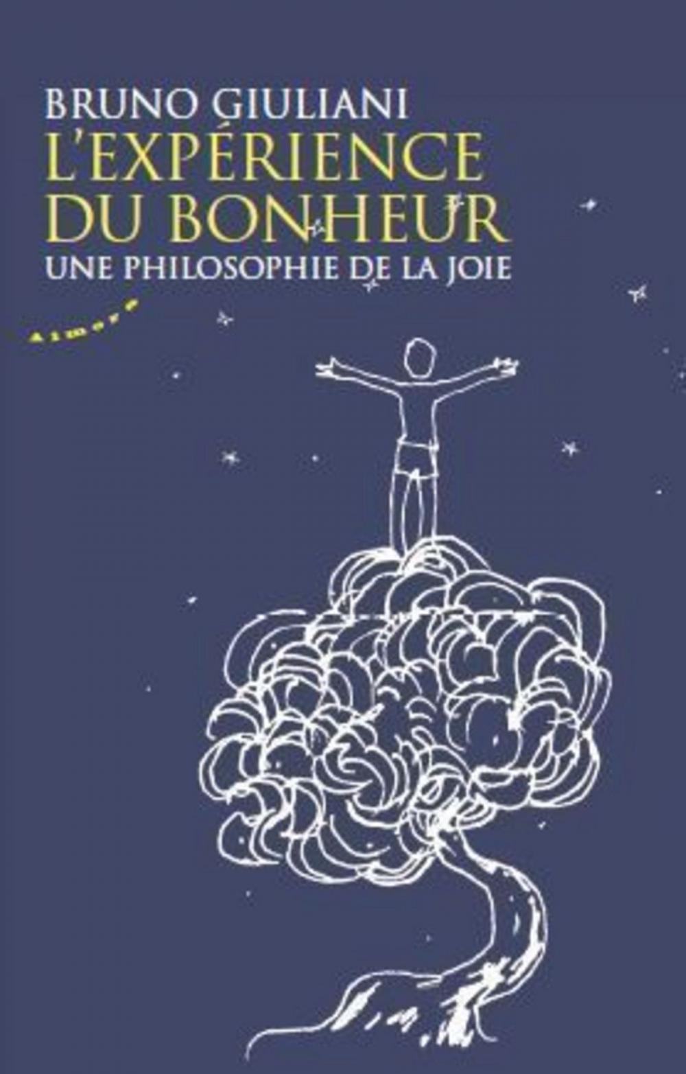 Big bigCover of L'expérience du bonheur - Une philosophie de la joie