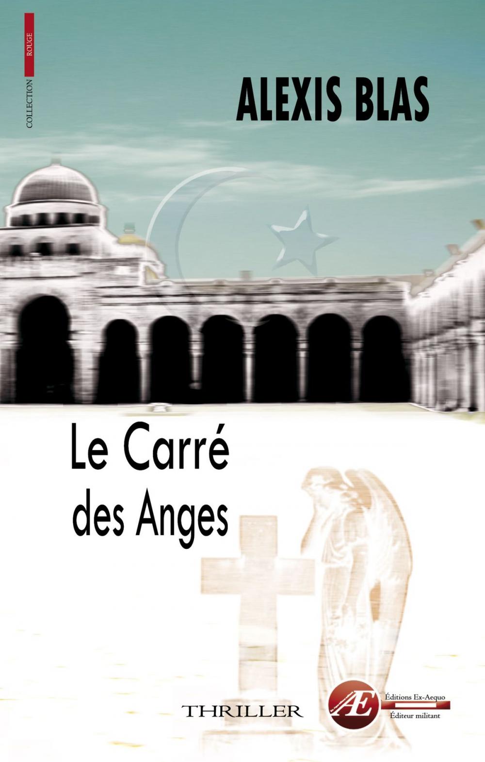 Big bigCover of Le carré des anges