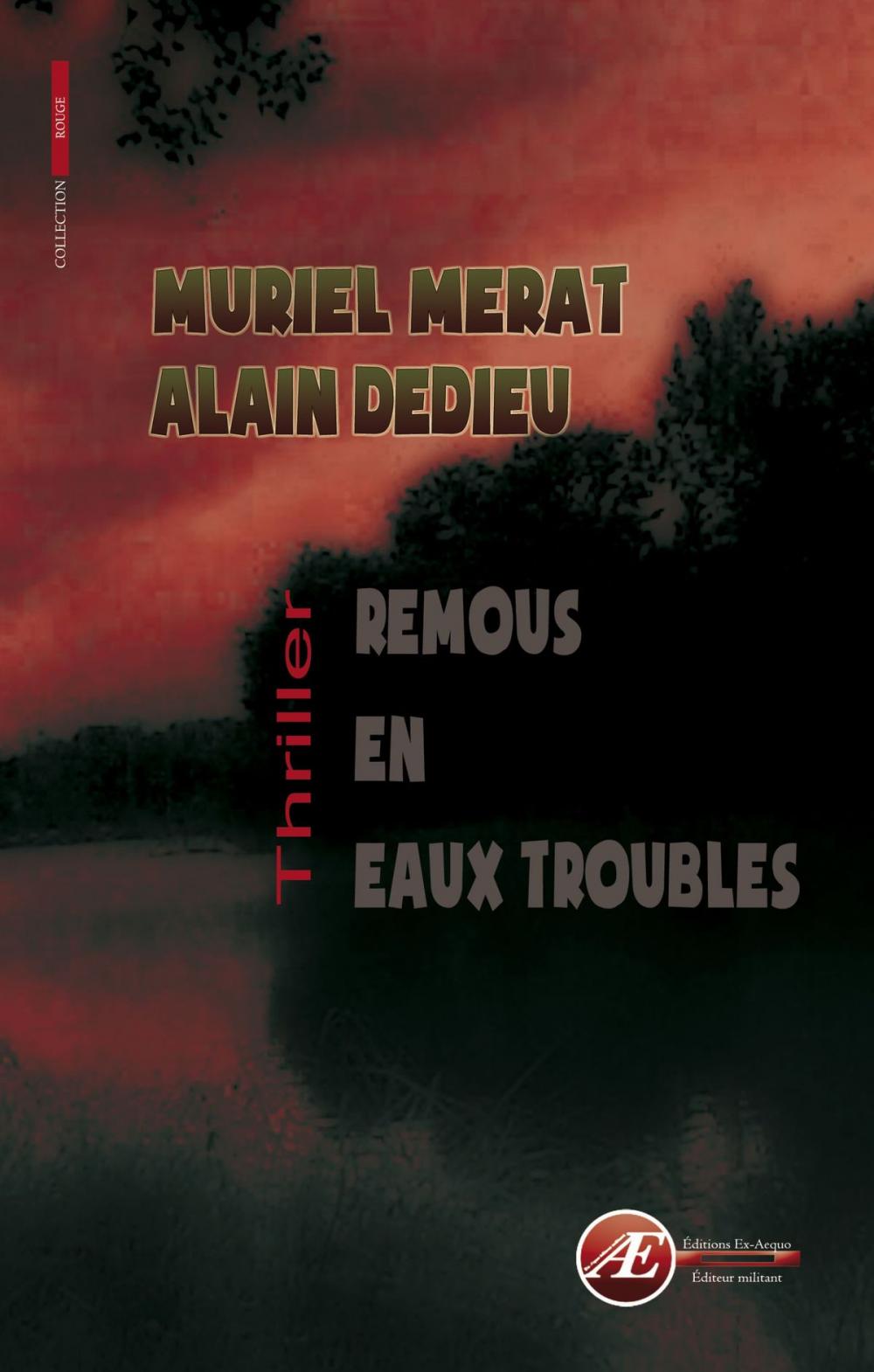 Big bigCover of Remous en eaux troubles