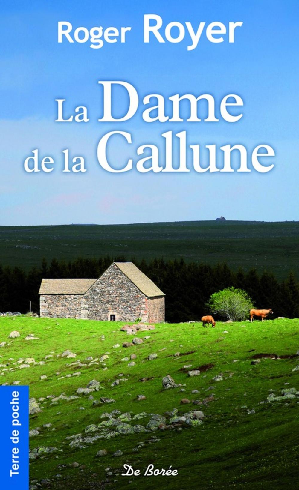 Big bigCover of La Dame de la callune