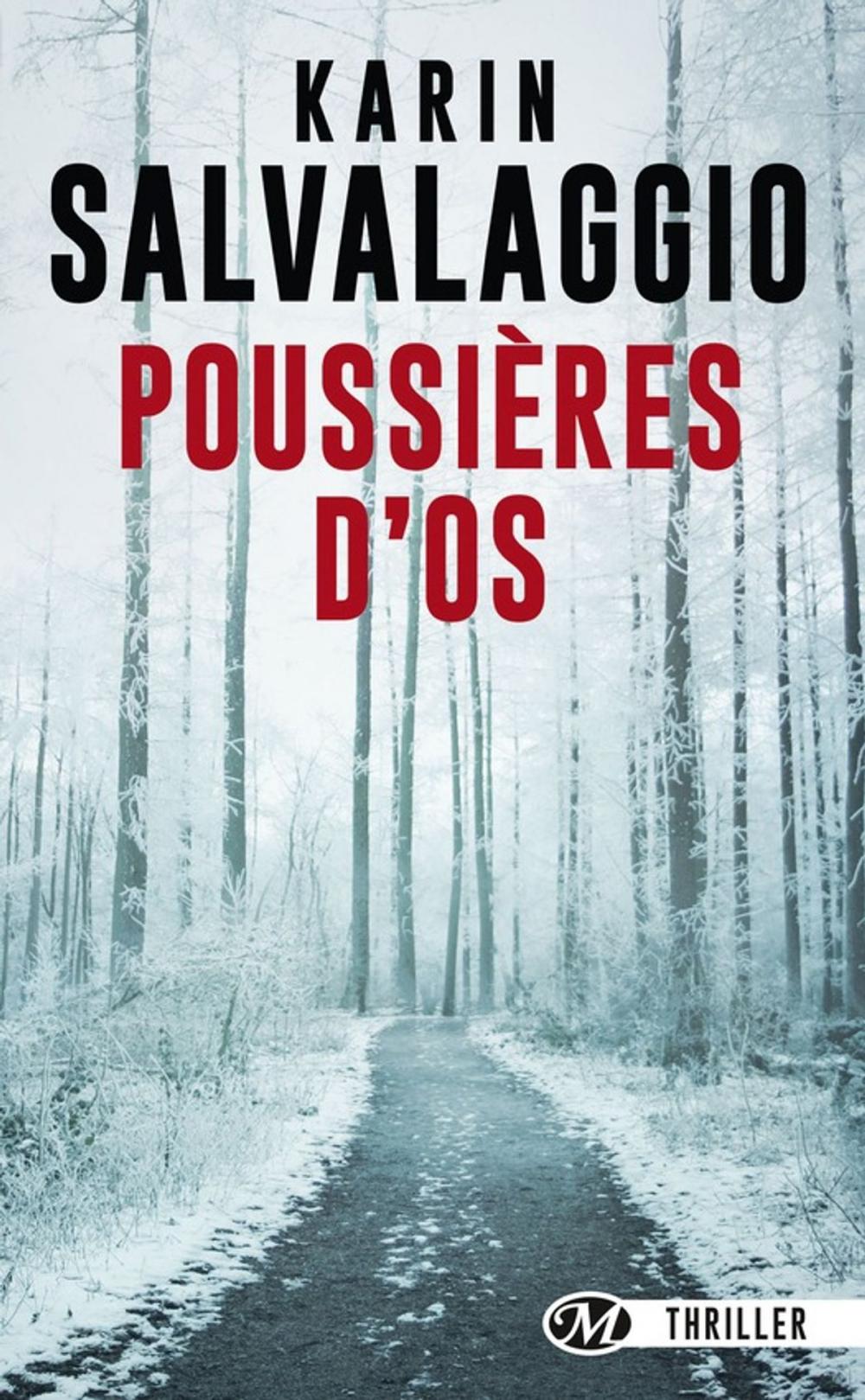 Big bigCover of Poussières d'os