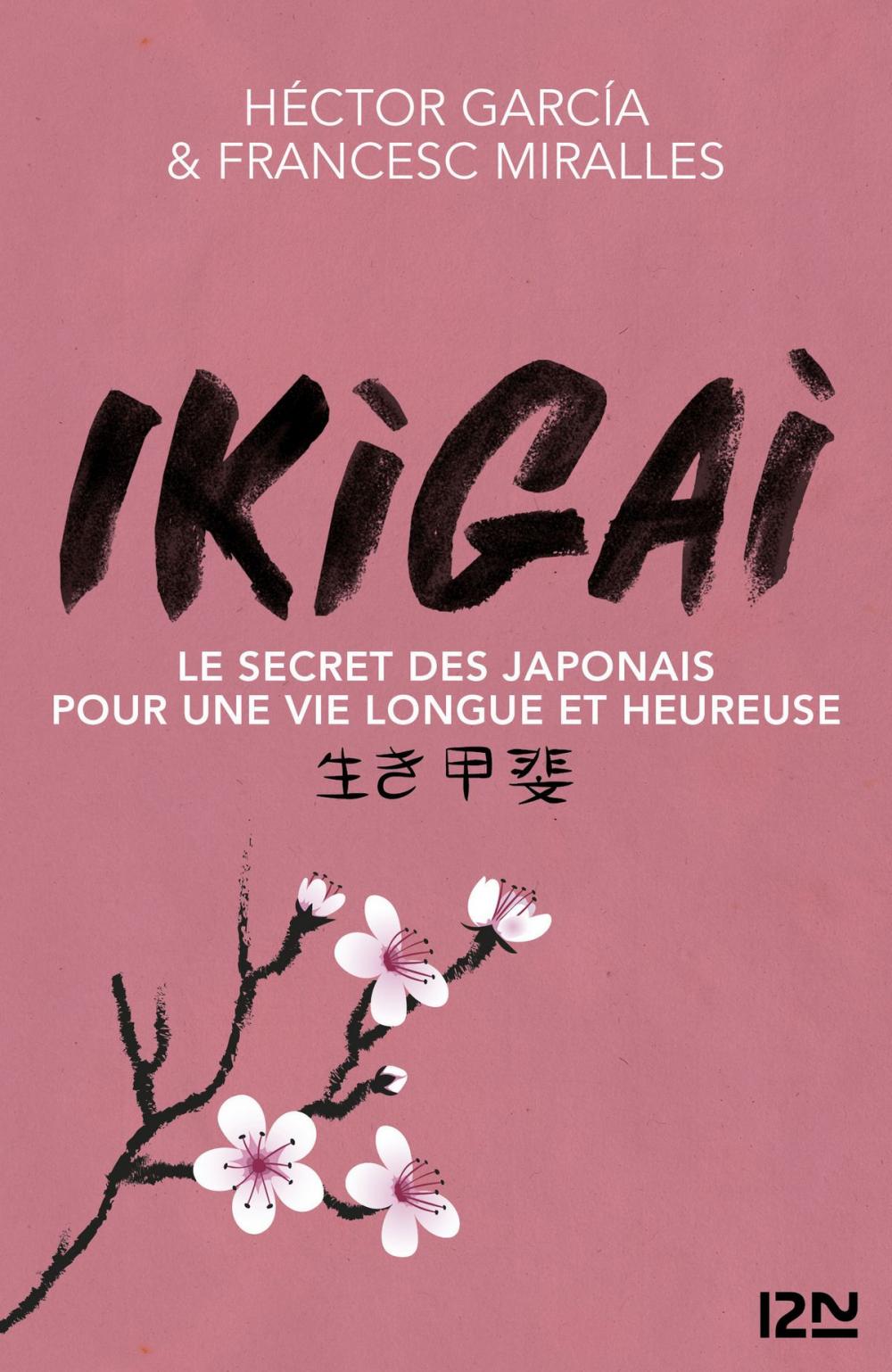 Big bigCover of IKIGAI