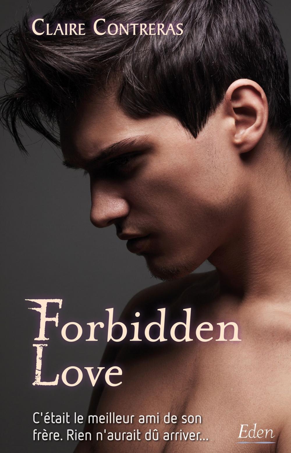 Big bigCover of Forbidden Love