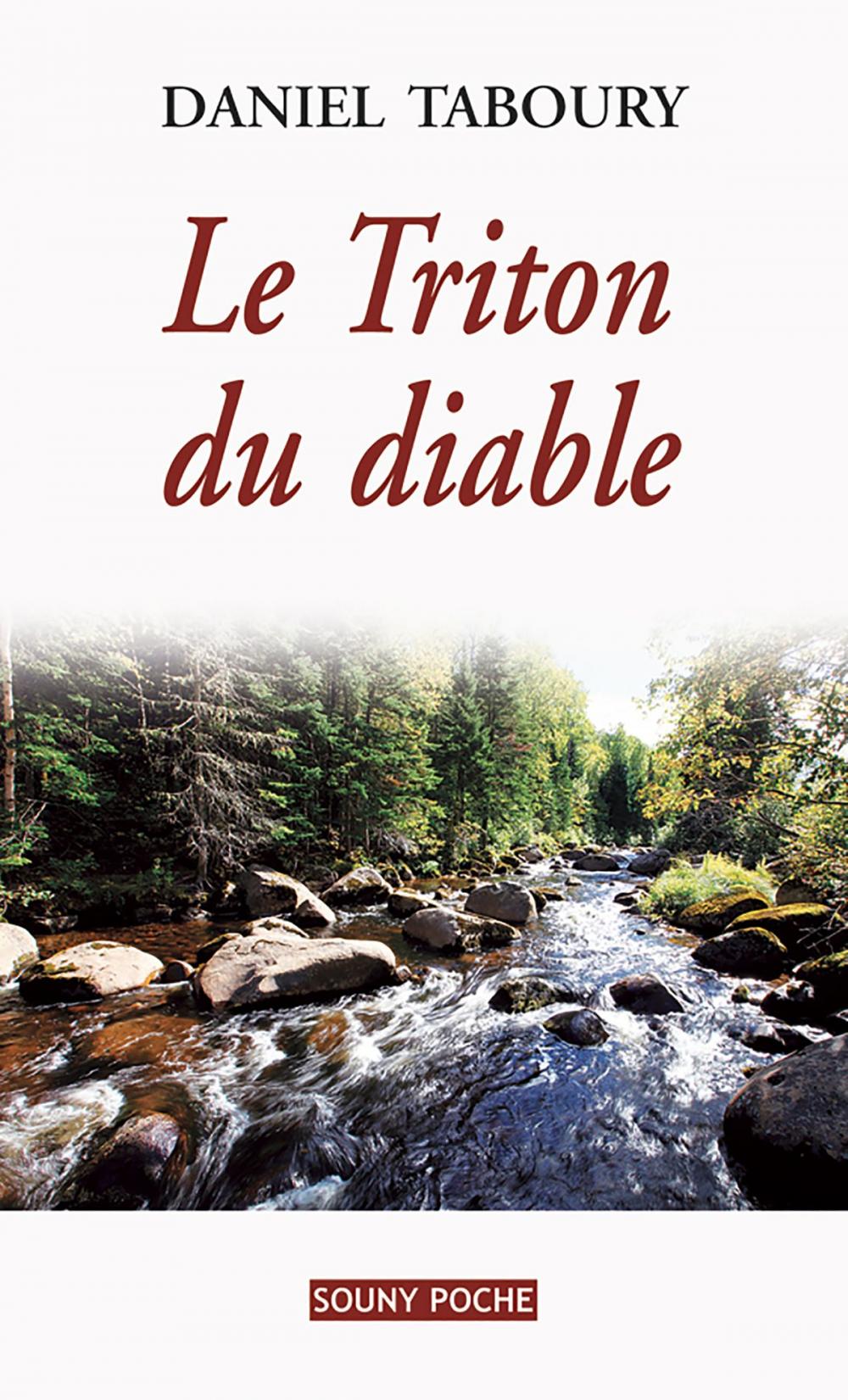 Big bigCover of Le Triton du diable