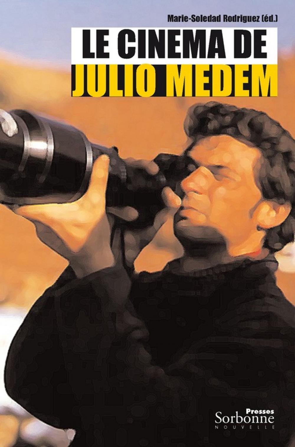 Big bigCover of Le cinéma de Julio Medem