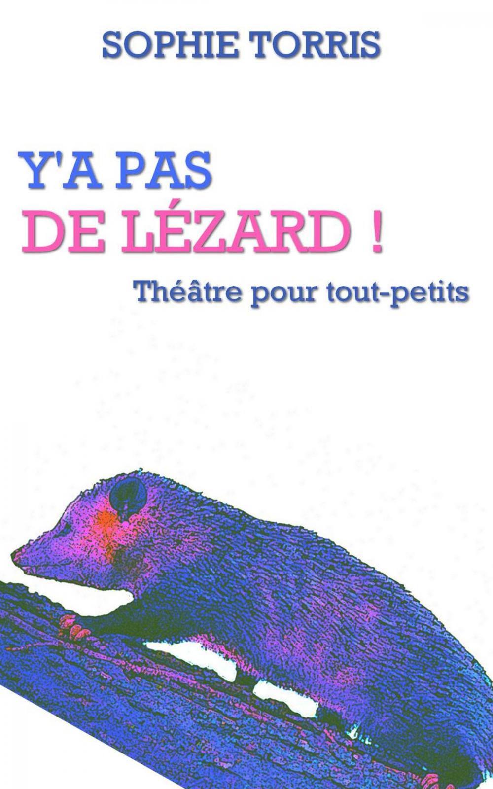 Big bigCover of Y'a pas de lézard (théâtre pour tout-petits)