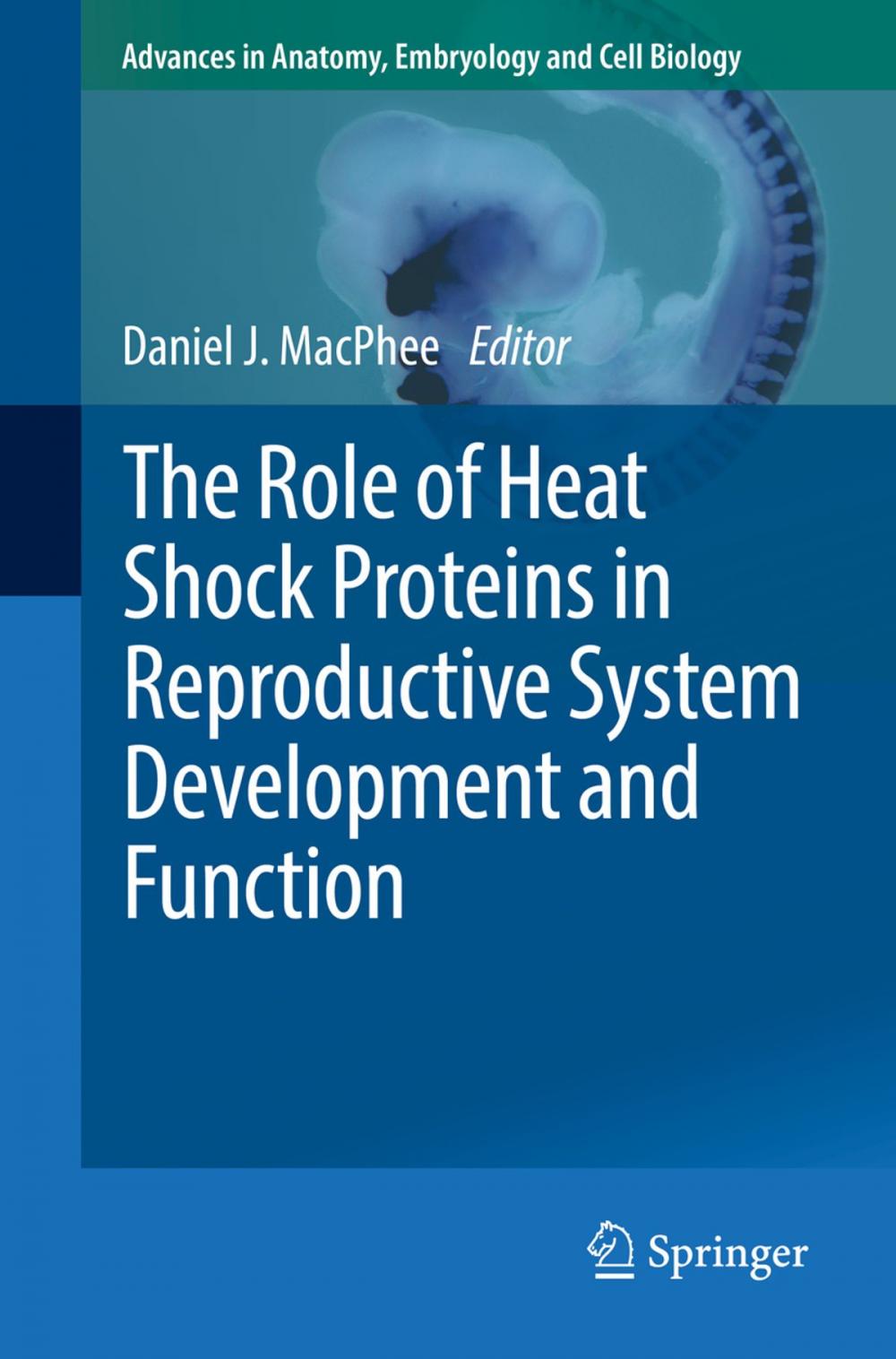 Big bigCover of The Role of Heat Shock Proteins in Reproductive System Development and Function