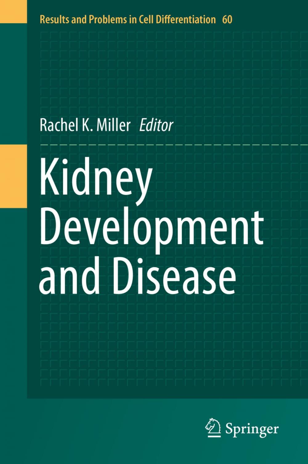 Big bigCover of Kidney Development and Disease