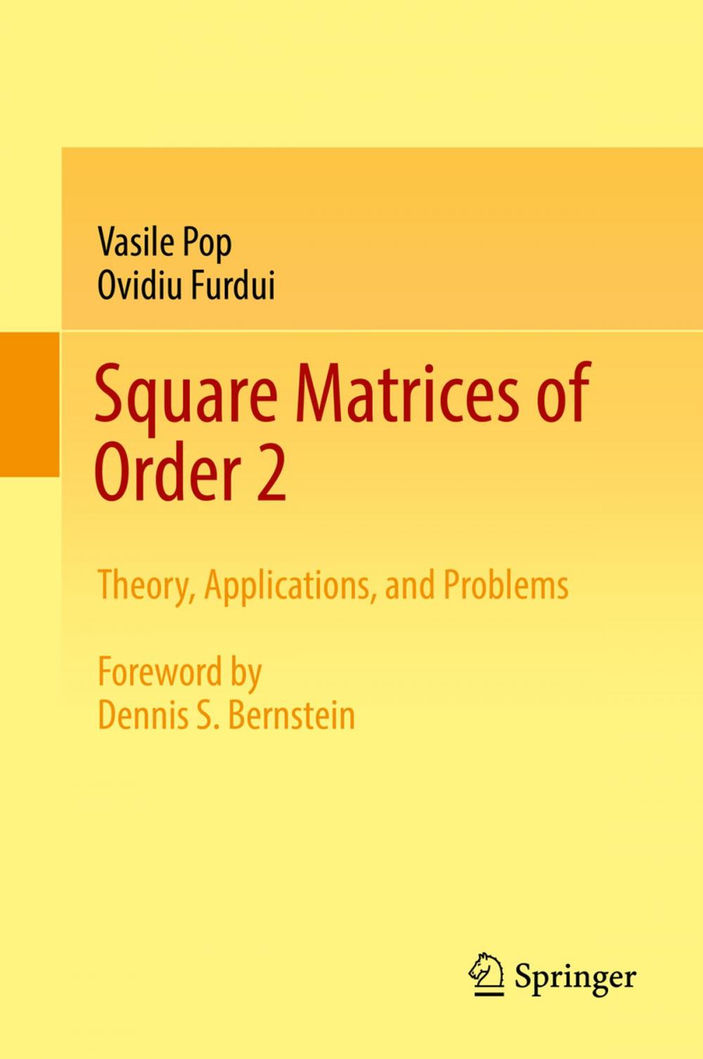 Big bigCover of Square Matrices of Order 2