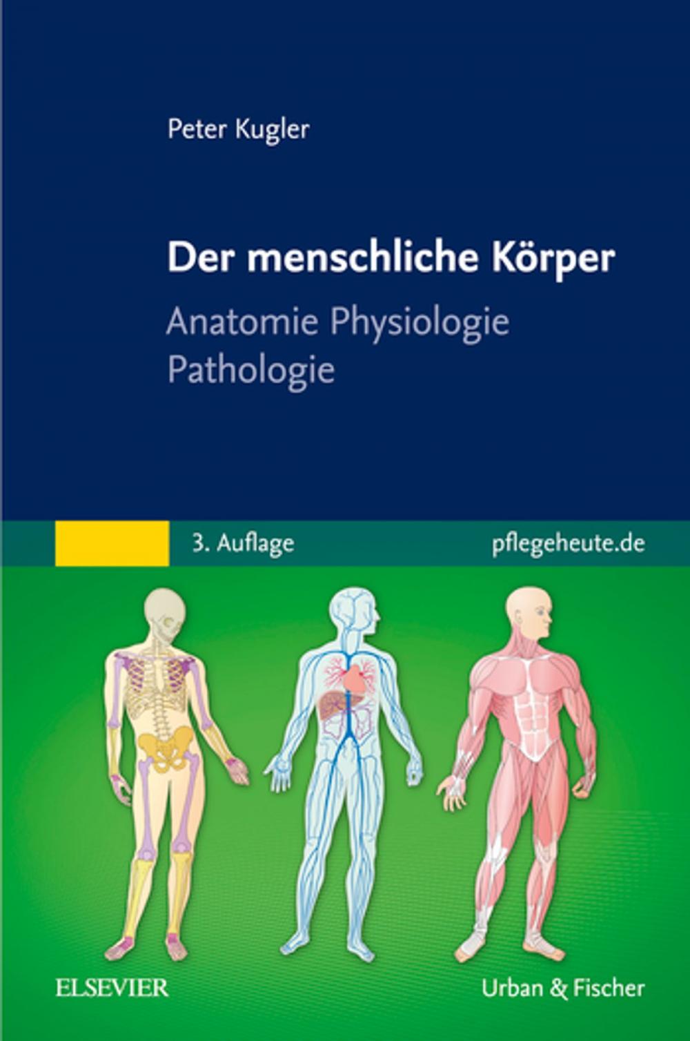 Big bigCover of Der menschliche Körper