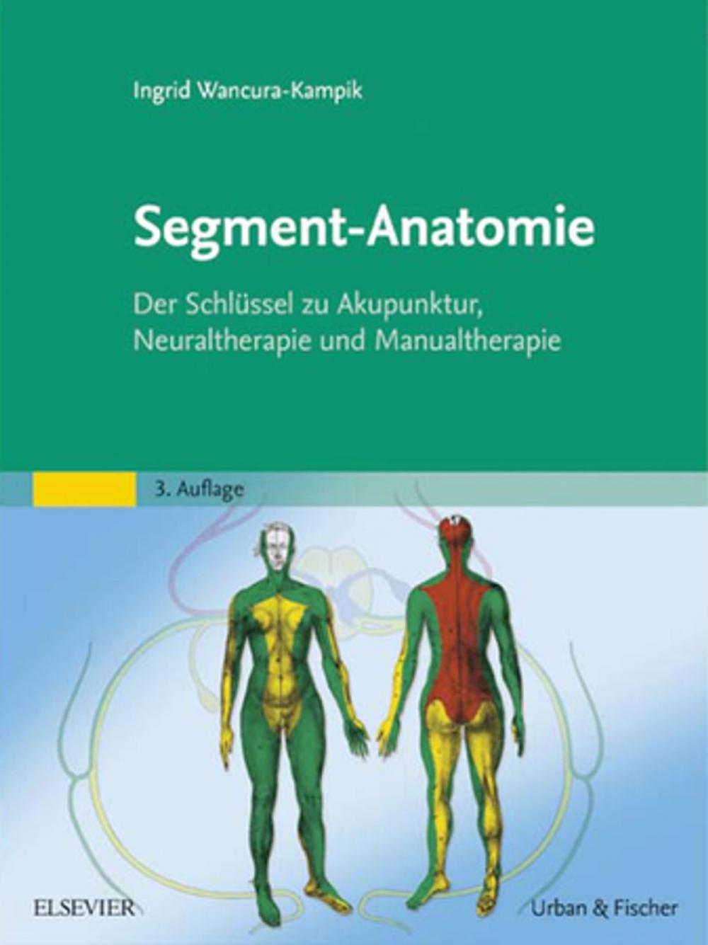 Big bigCover of Segment-Anatomie