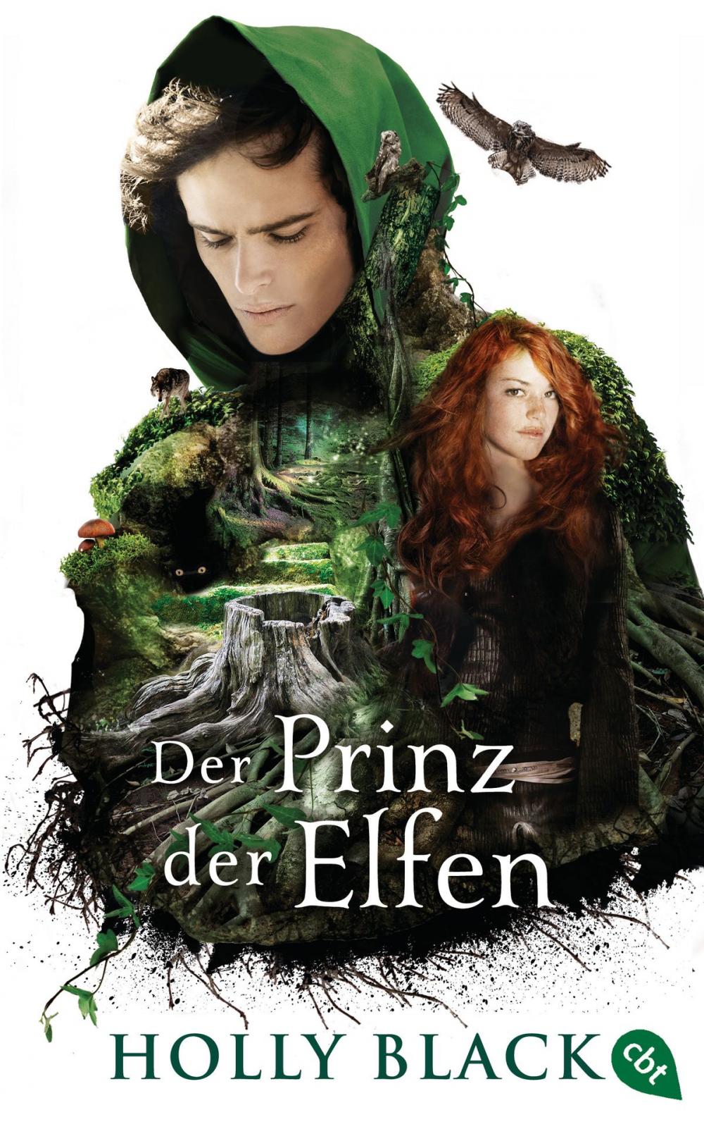 Big bigCover of Der Prinz der Elfen