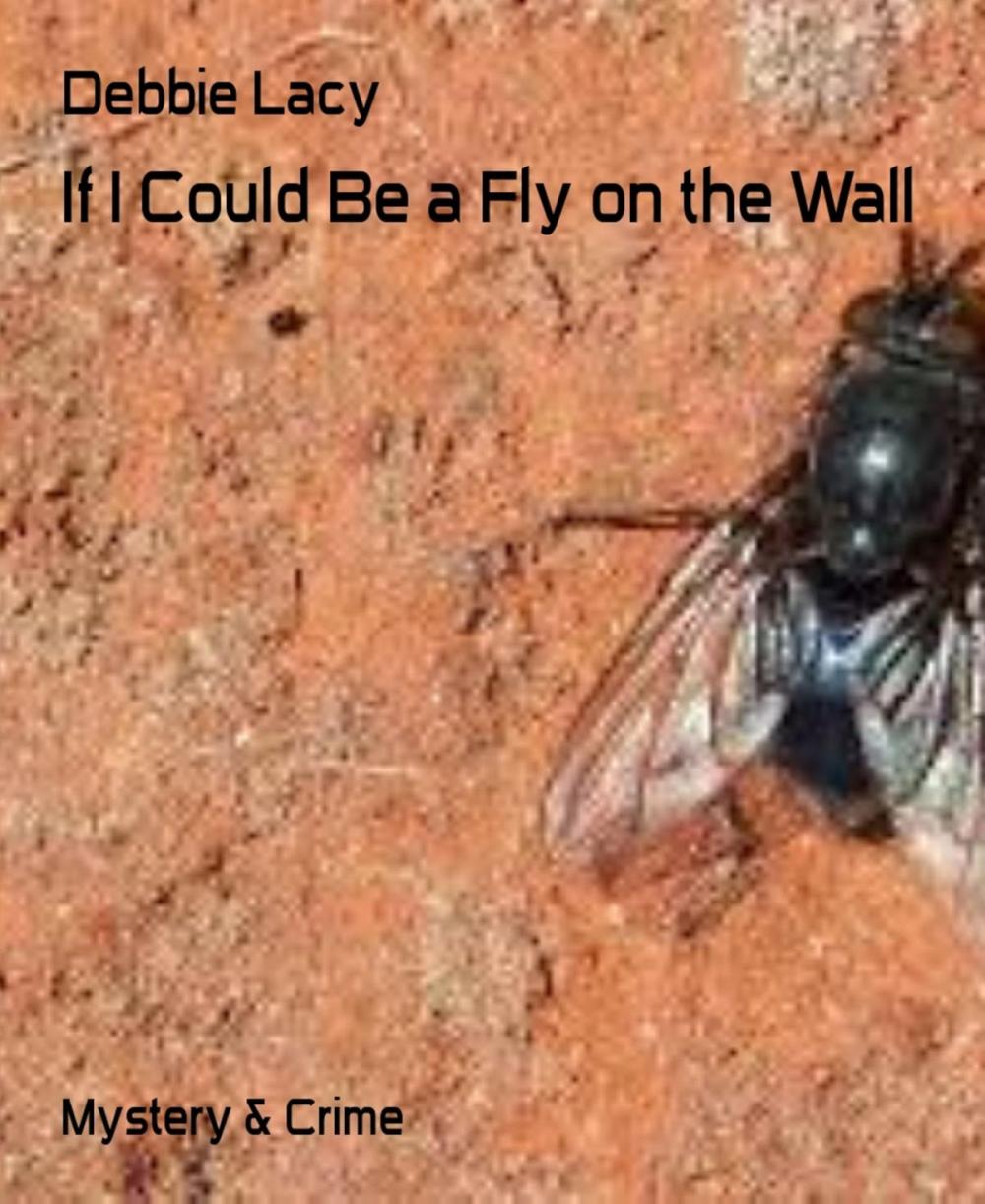 Big bigCover of If I Could Be a Fly on the Wall