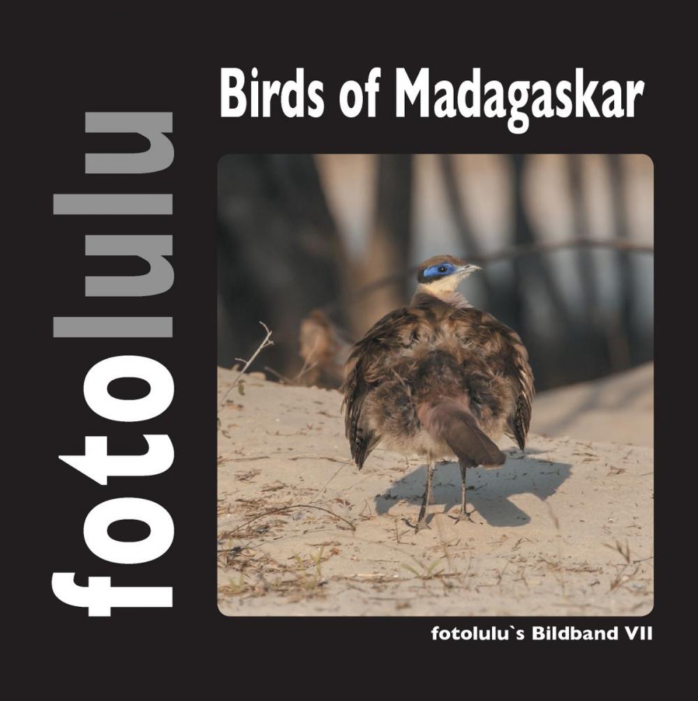 Big bigCover of Birds of Madagaskar