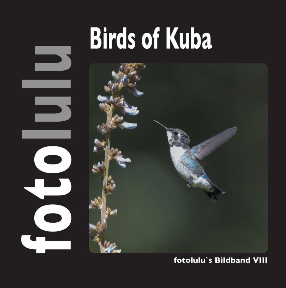 Big bigCover of Birds of Kuba