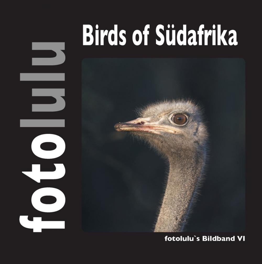 Big bigCover of Birds of Südafrika