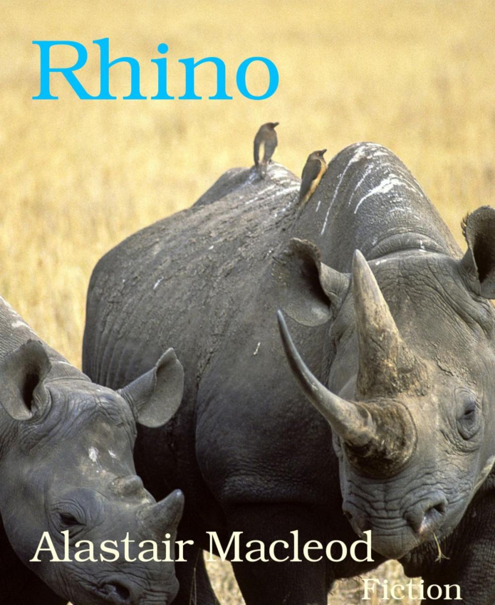 Big bigCover of Rhino