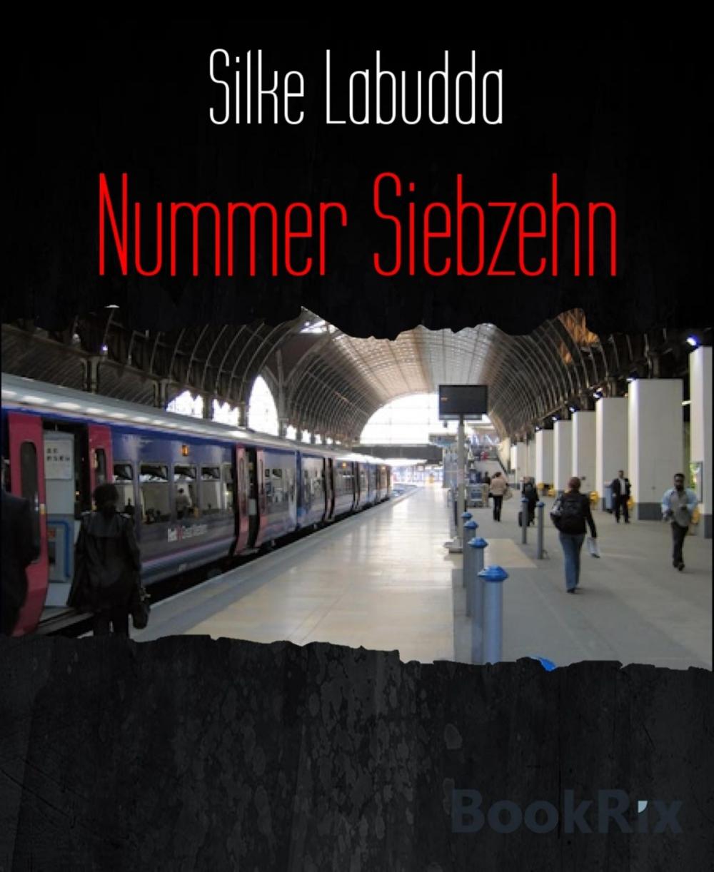 Big bigCover of Nummer Siebzehn