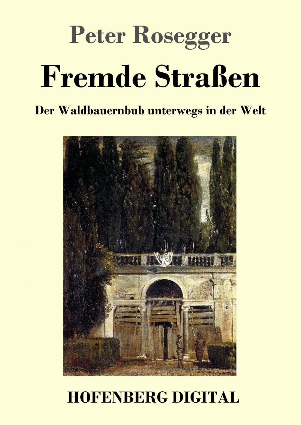 Big bigCover of Fremde Straßen