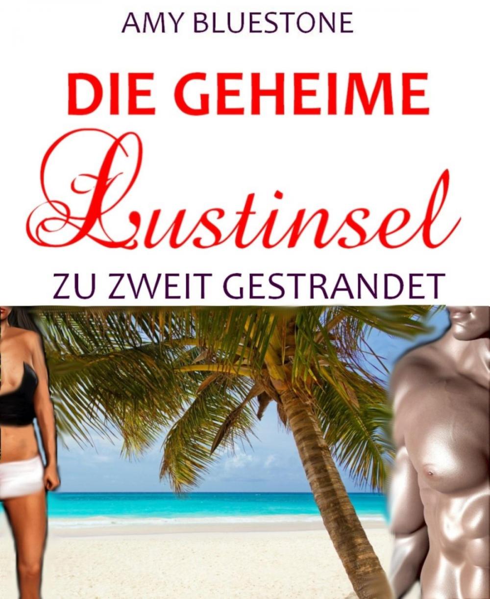 Big bigCover of Die geheime Lustinsel