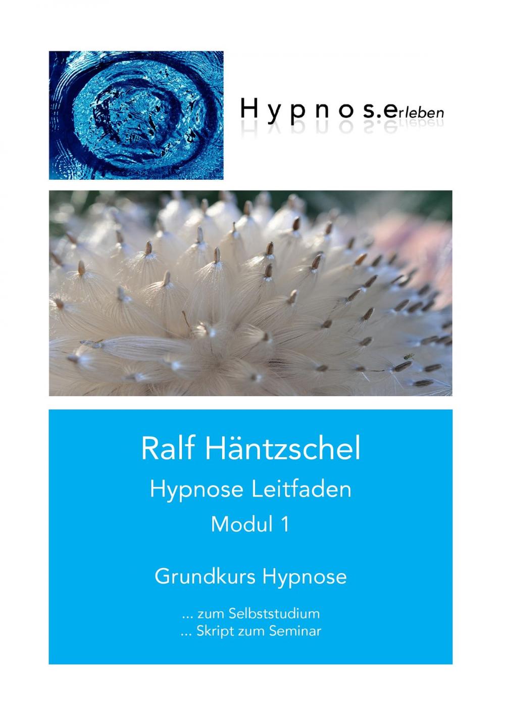 Big bigCover of Hypnose Leitfaden Modul 1