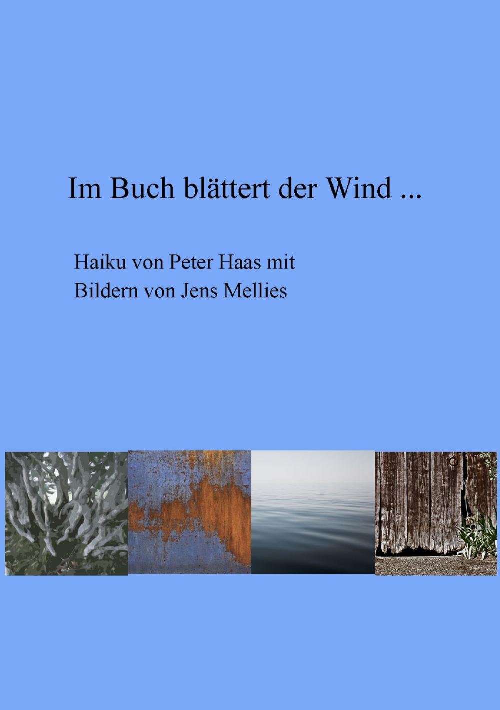 Big bigCover of Im Buch blättert der Wind ...