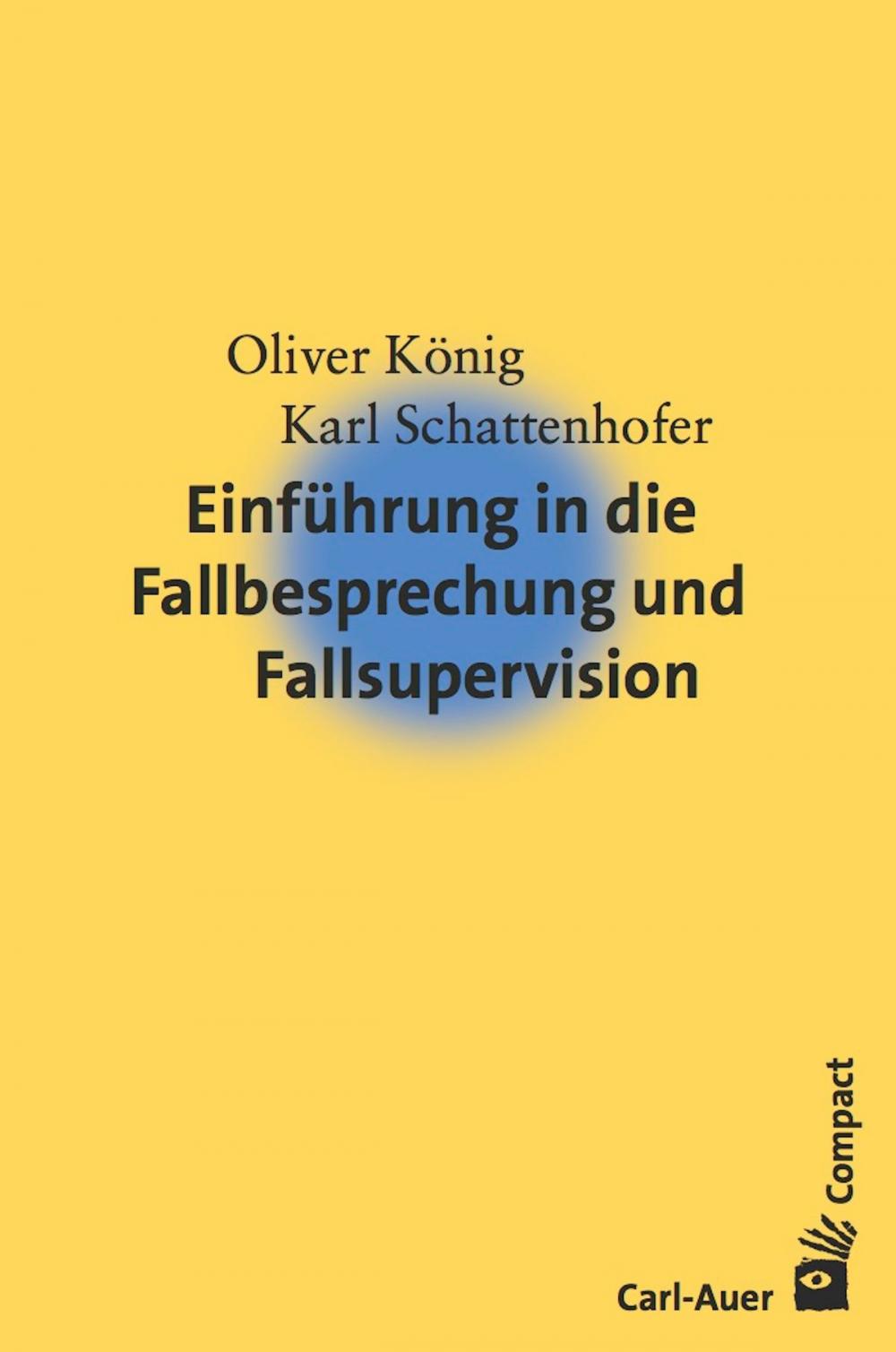 Big bigCover of Einführung in die Fallbesprechung und Fallsupervision