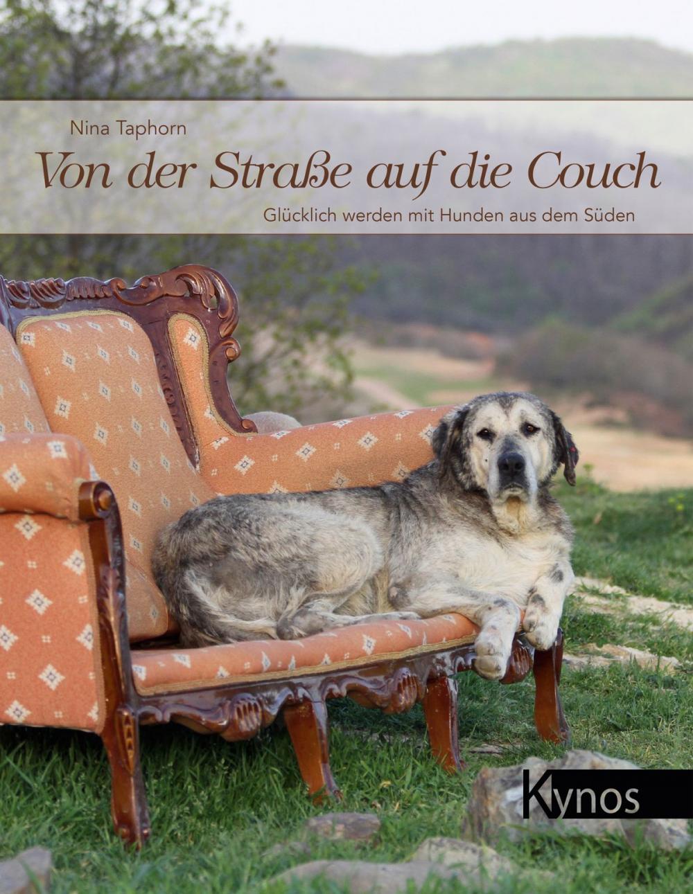 Big bigCover of Von der Straße auf die Couch