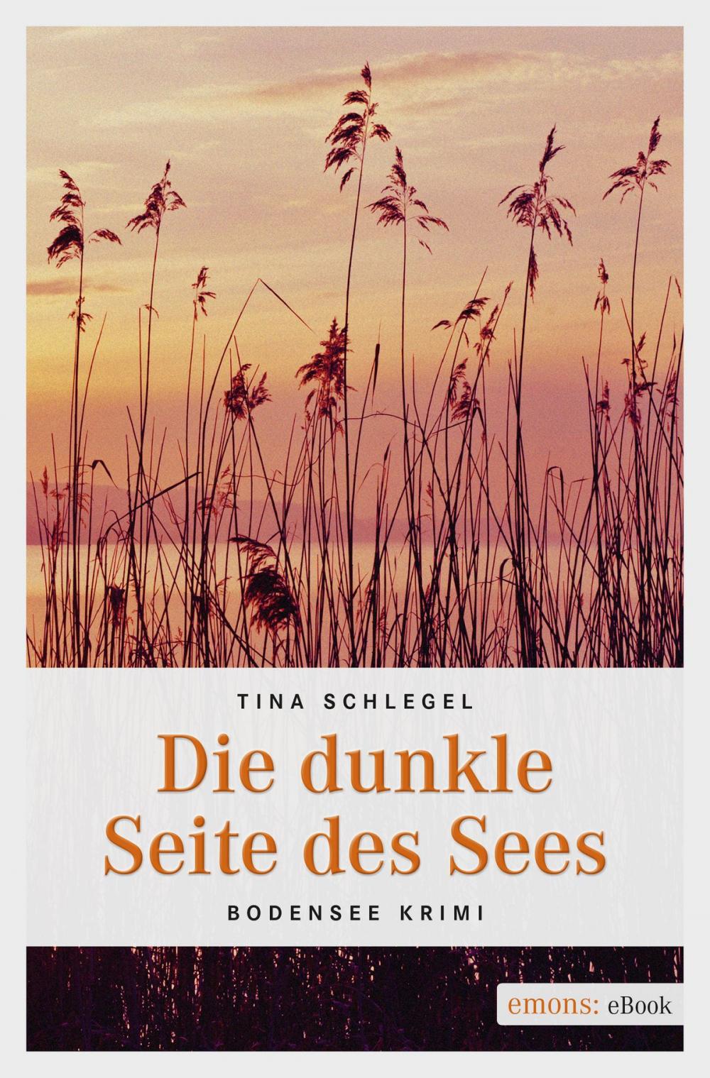 Big bigCover of Die dunkle Seite des Sees