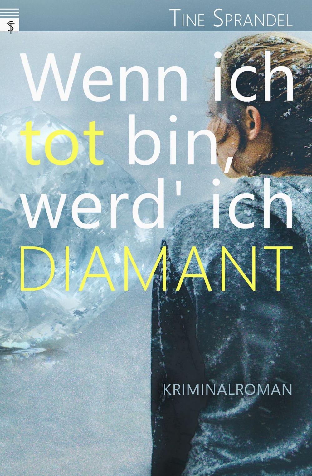 Big bigCover of Wenn ich tot bin, werd' ich Diamant